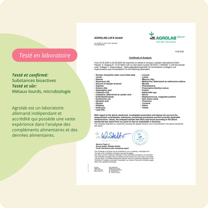 Vollagen + Acide Hyaluronique Complex Gélules