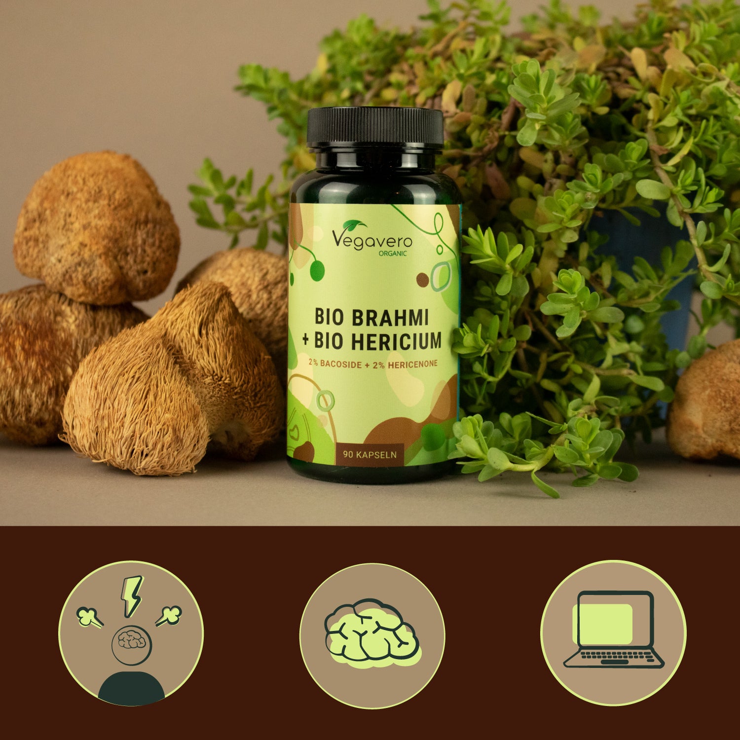 Brahmi + Hericium Capsule Bio