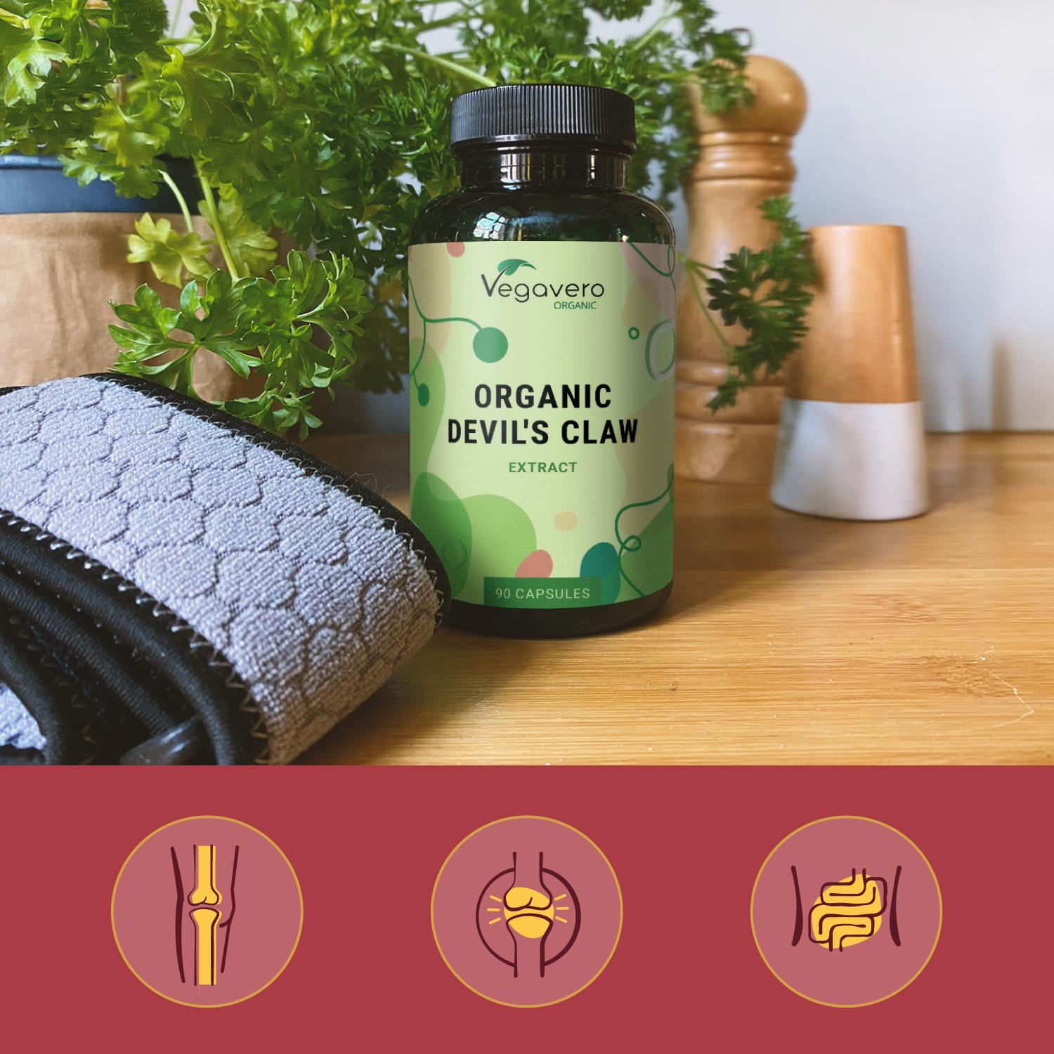 Devil's Claw Extract Capsules Organic