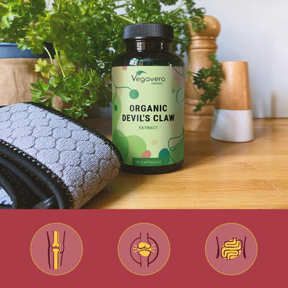 Devil's Claw Extract Capsules Organic