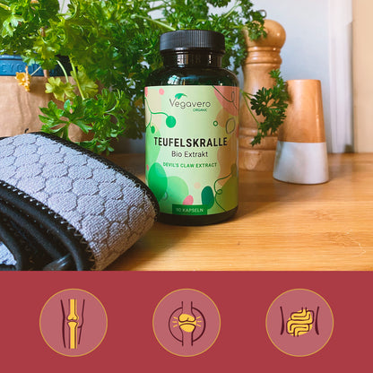 Devil's Claw Extract Capsules Organic