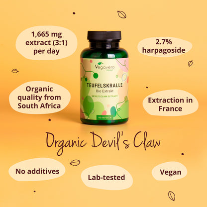 Devil's Claw Extract Capsules Organic