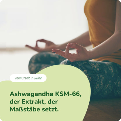 Ashwagandha KSM-66 Extrakt Kapseln Bio