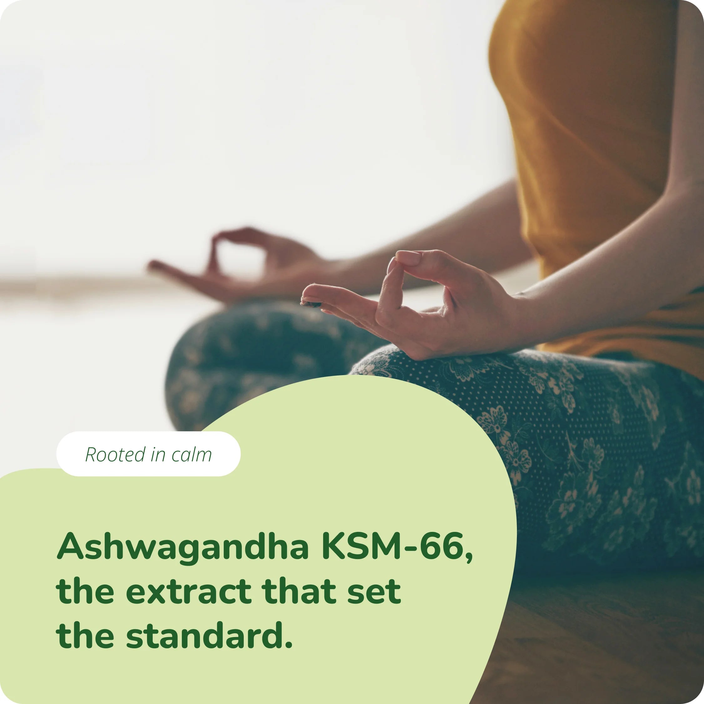 Ashwagandha KSM-66 Extract Capsules Organic