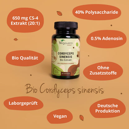 Cordyceps Sinensis Extrakt Kapseln Bio