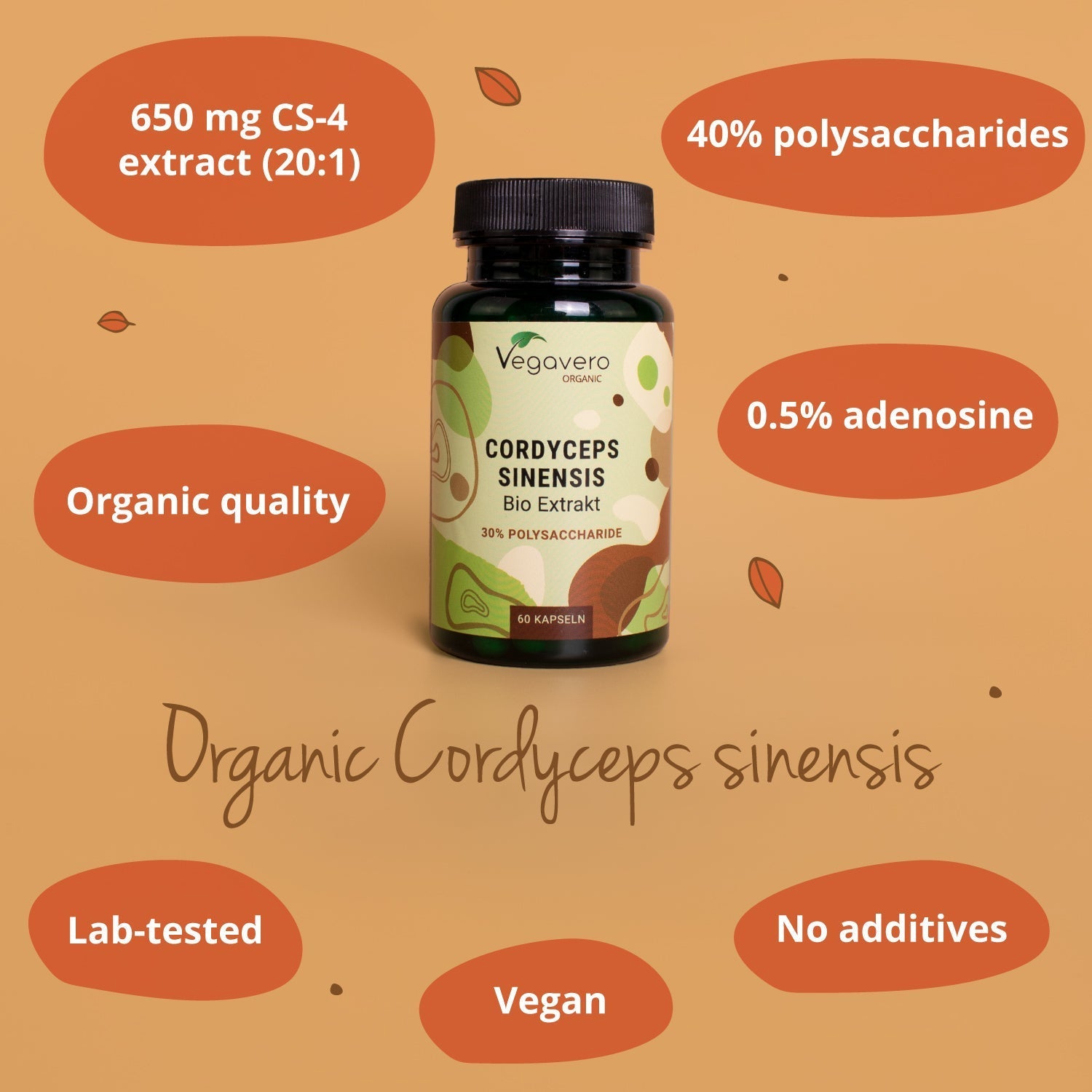Cordyceps Sinensis Extract Capsules Organic