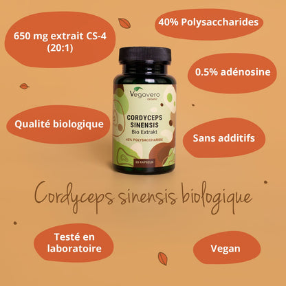 Cordyceps Sinensis Extrait Gélules Bio