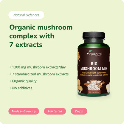 Mushroom Complex Kapseln Bio