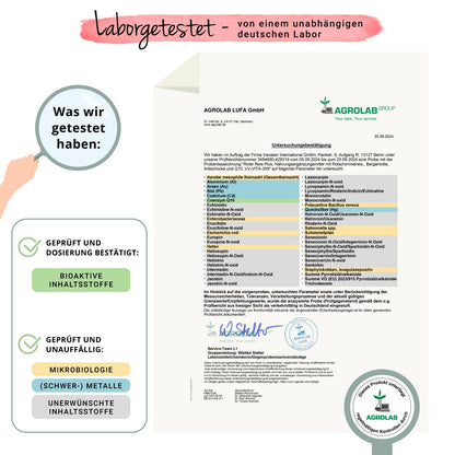 Roter Reis Plus Kapseln