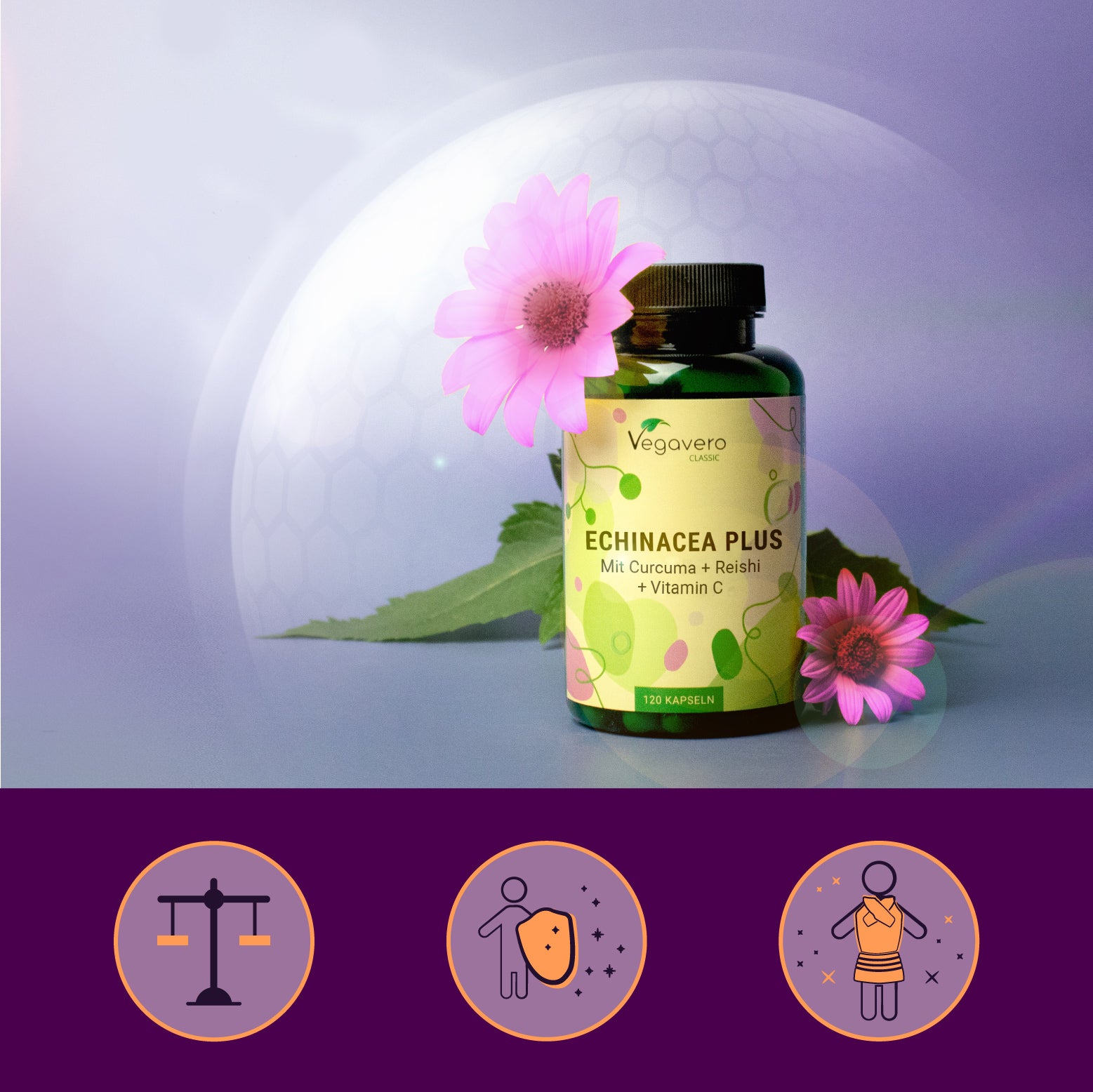 Echinacea Plus Gélules