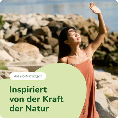 Astaxanthin Öl Kapseln Bio