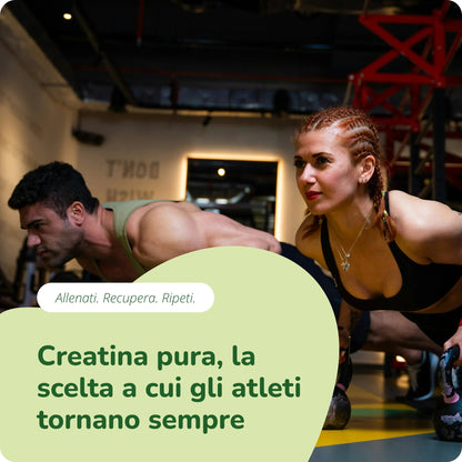 Creatina Monoidrato in Polvere
