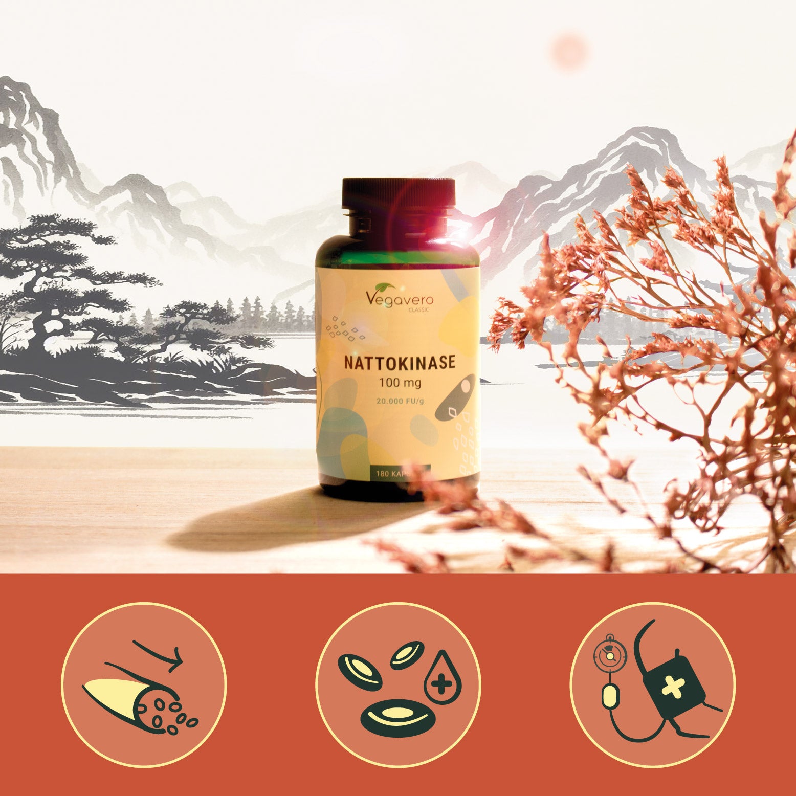 Nattokinase Capsules