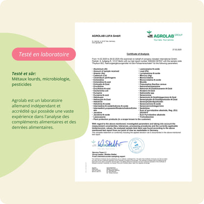 Cosse de Psyllium Bio