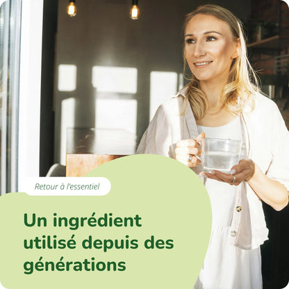 Levure de Bière Gélules