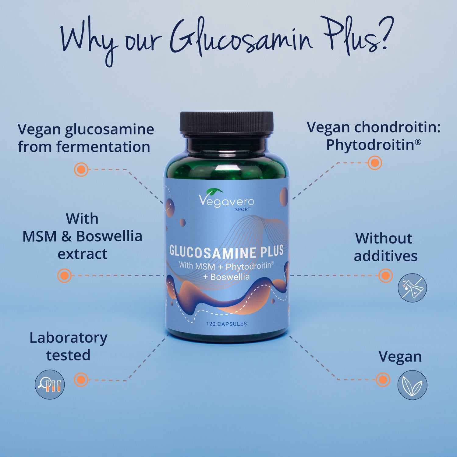 Glucosamine Plus Gélules
