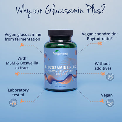 Glucosamin Plus Cápsulas
