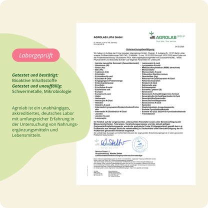 Glucosamin Plus Kapseln