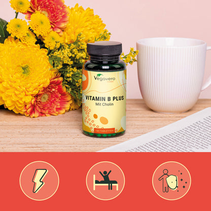 Vitamin B Plus Tablets