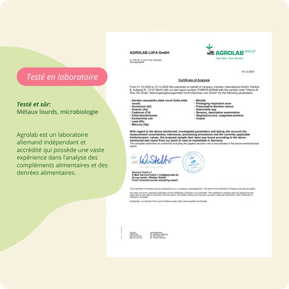 Vitamine B Plus Comprimés