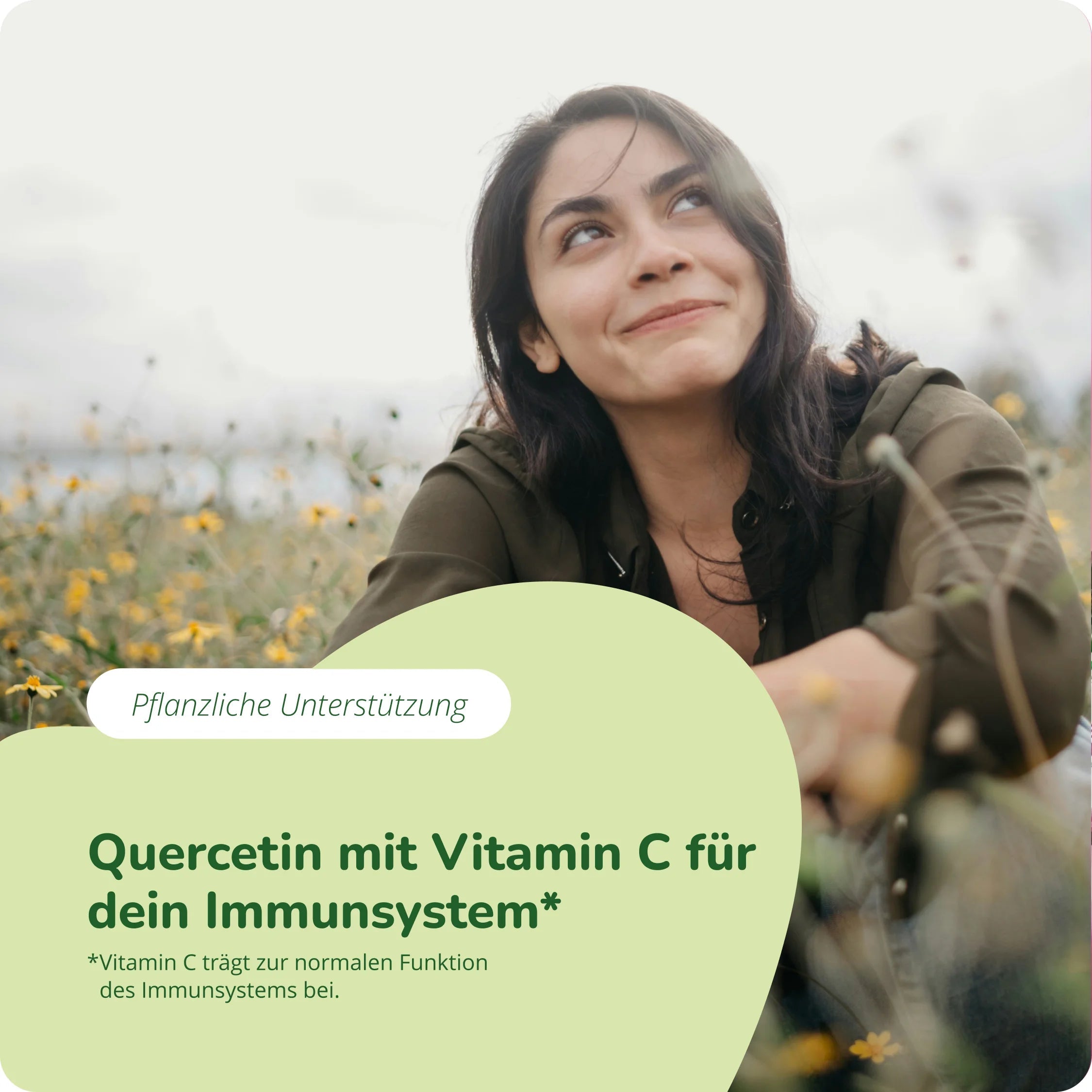 Quercetin Komplex Kapseln