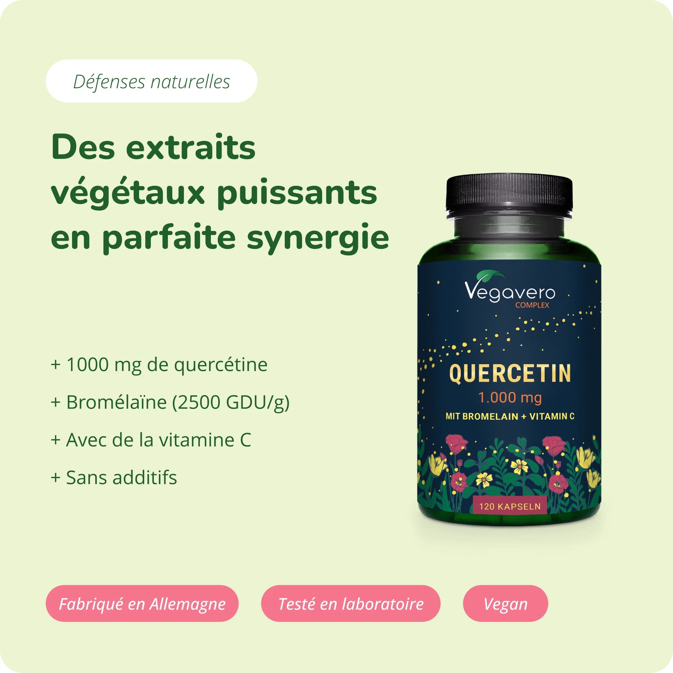 Quercétine Complex Gélules