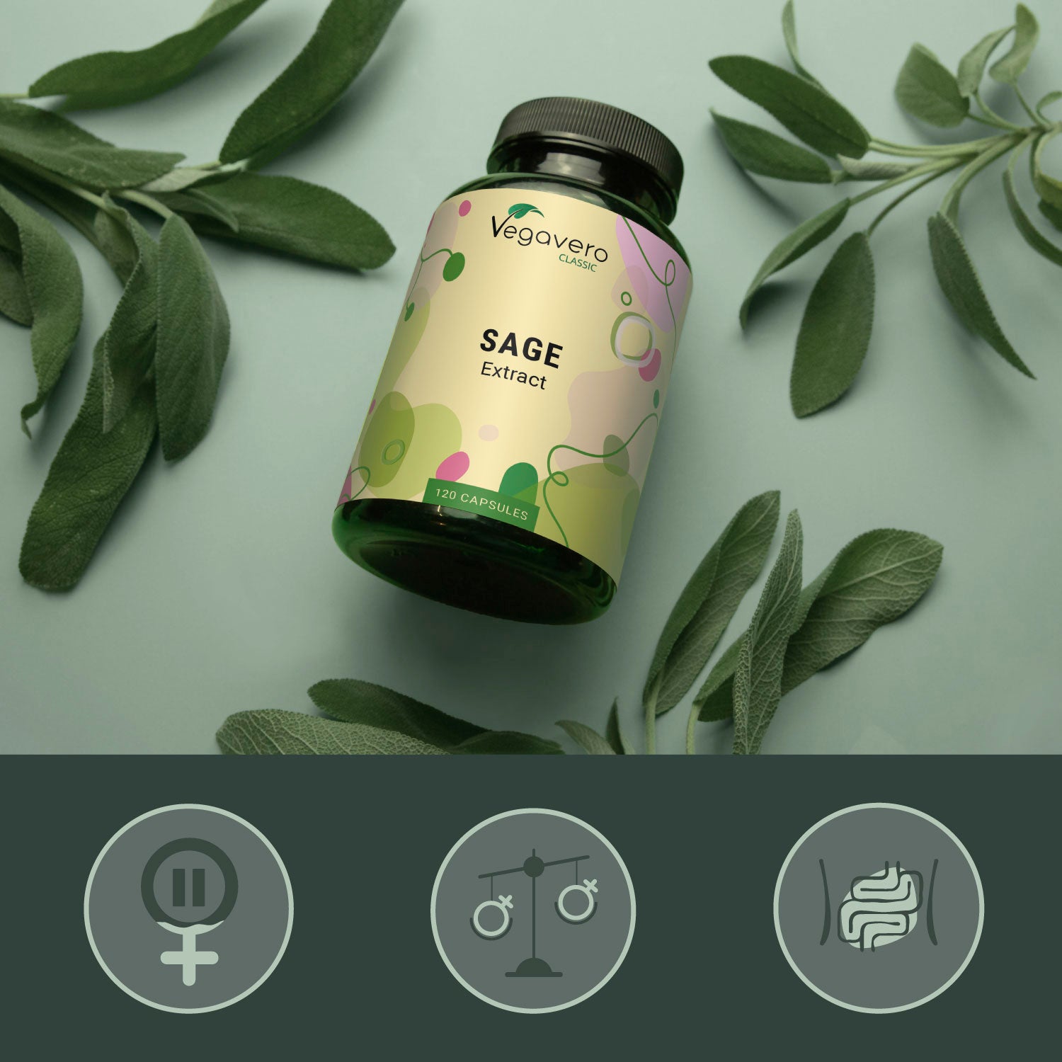 Sage Extract Capsules