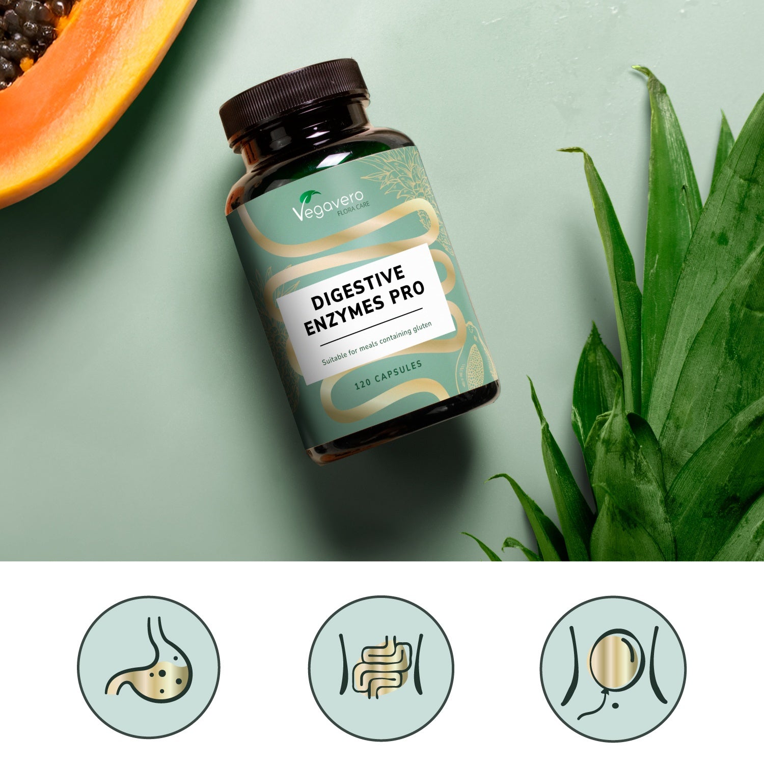 Digestive Enzymes Pro Capsules