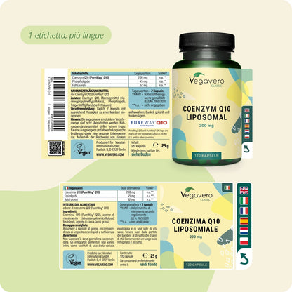 Q10 Capsule
