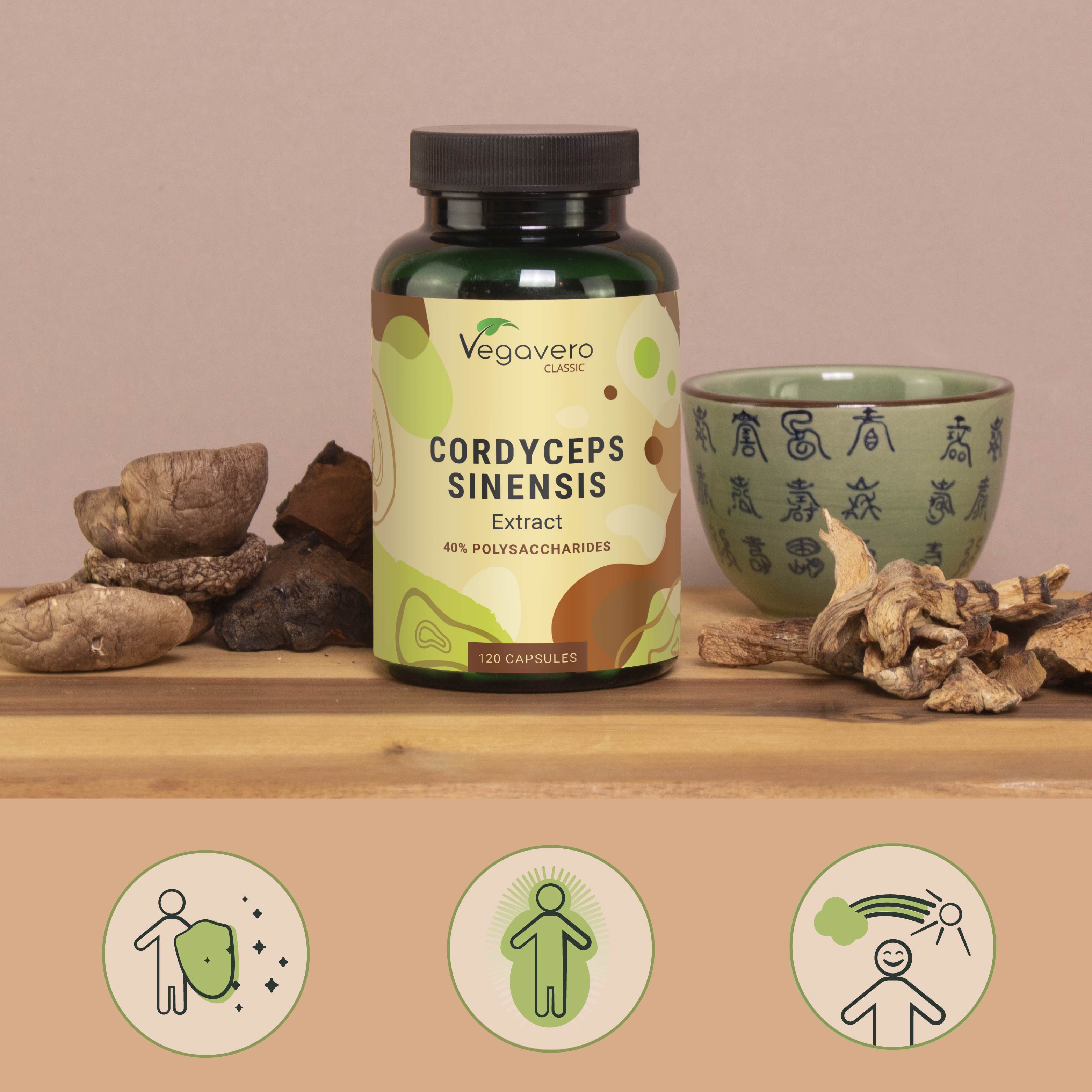 Cordyceps Sinensis Extract Capsules