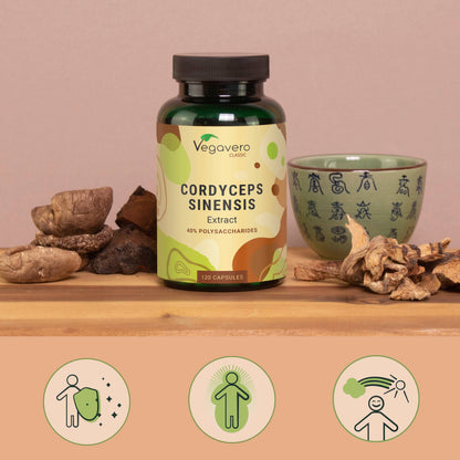 Cordyceps Sinensis Extract Capsules