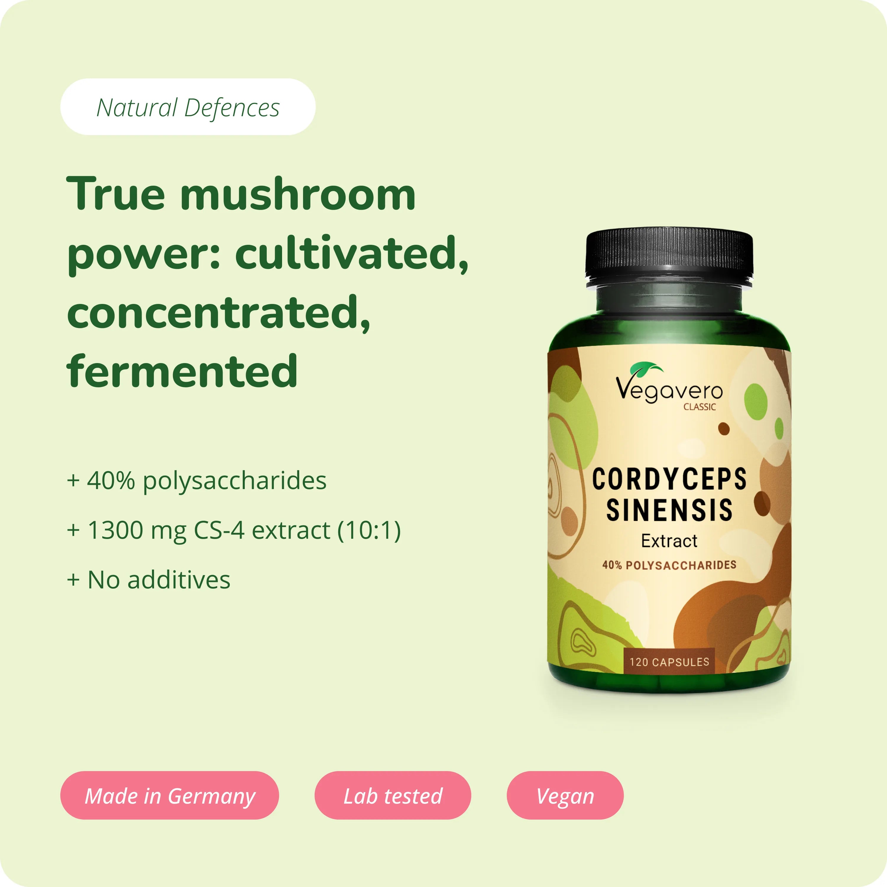 Cordyceps Sinensis Extracto Cápsulas