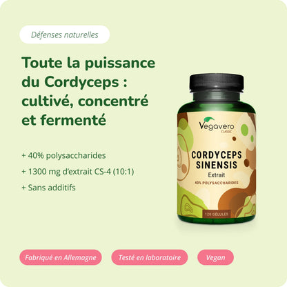 Cordyceps Sinensis Extrait Gélules