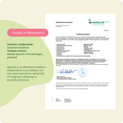 Spirulina + Chlorella Capsule Bio