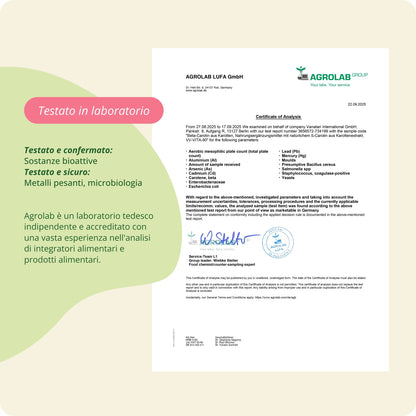Beta‑Carotene Capsule