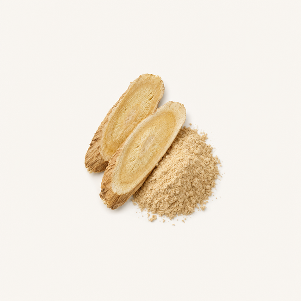 Estratto di Radice di Astragalo (20 % Polisaccaridi) BIO