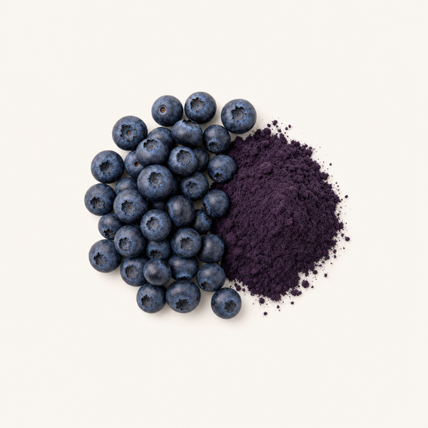 Bilberry Fruit Extract 25%