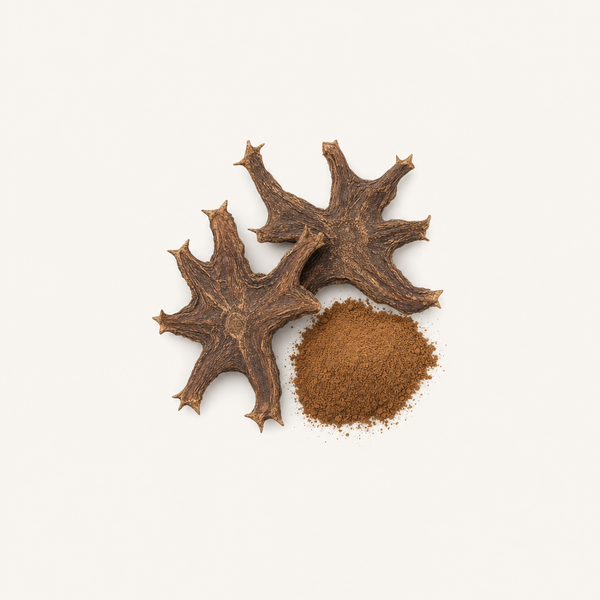 Devil's claw root extract 2% Harpagoside
