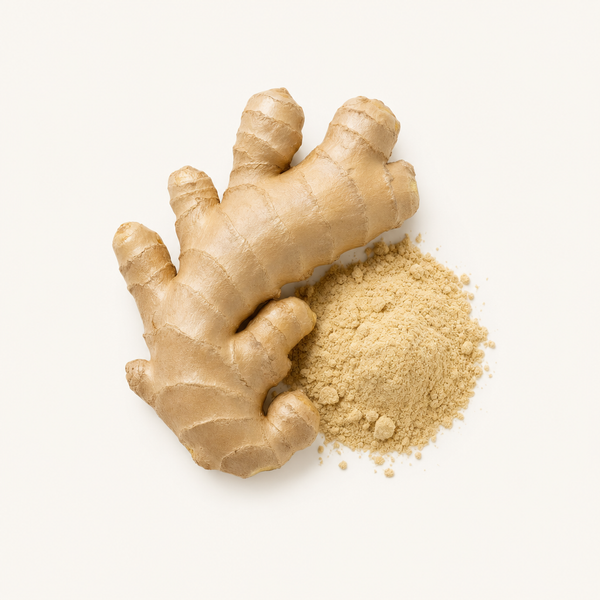 Extrait de rhizome de gingembre (Zingiber officinale) 5% gingérols