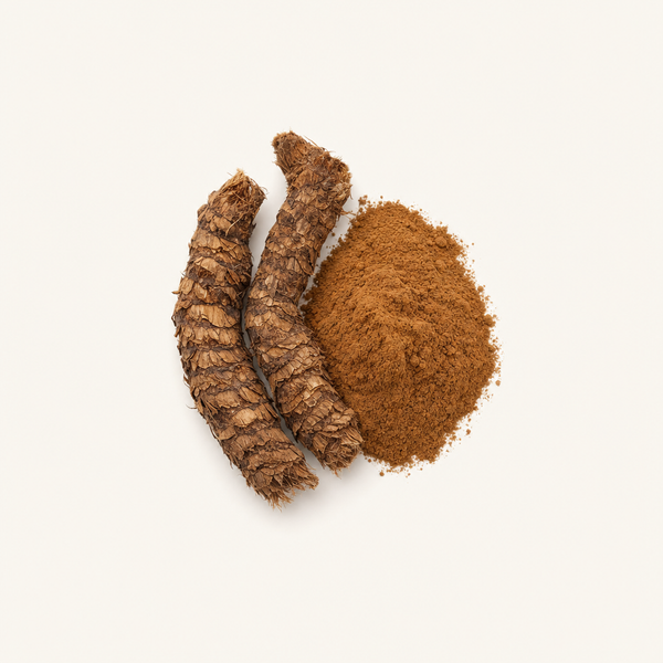 Golden polypody rhizome extract (5% Berberine-HCL)
