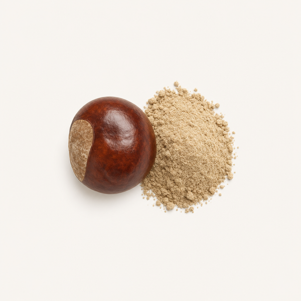 Estratto di semi di ippocastano 4-6% BIO