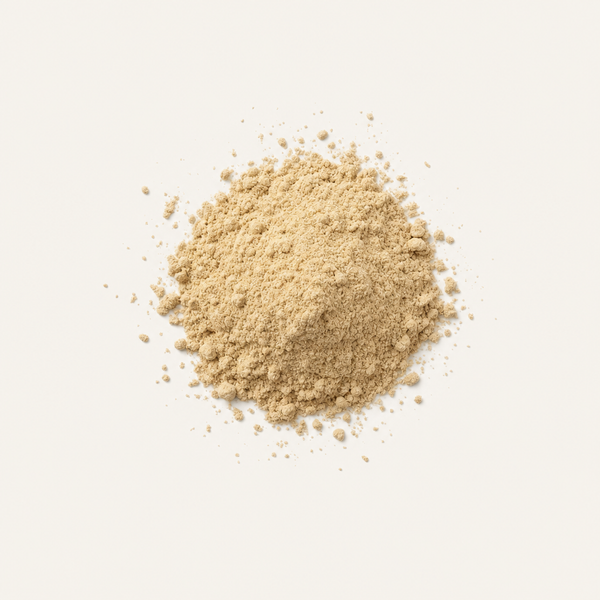 Japanese knotweed Root Extract 98%