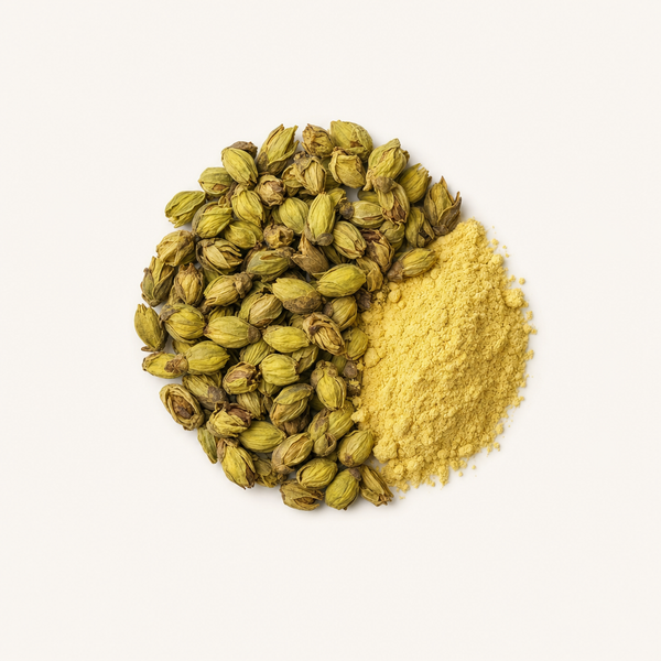 Japanese pagoda tree flower bud extract (95% Quercetin)