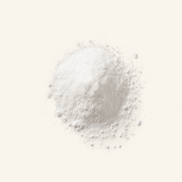 L-Prolin fermentiert
