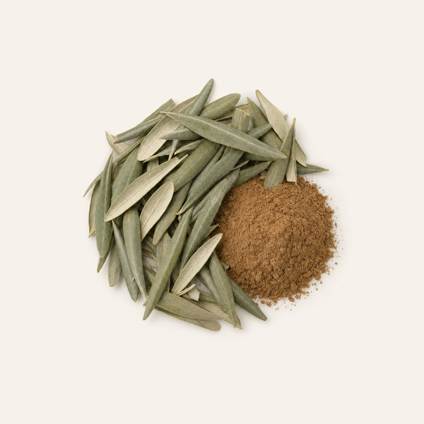 Estratto di Foglie di Olivo (40% Oleuropeina)