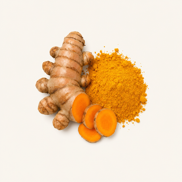 Polvere di Curcuma Biologica, 5% Curcumina