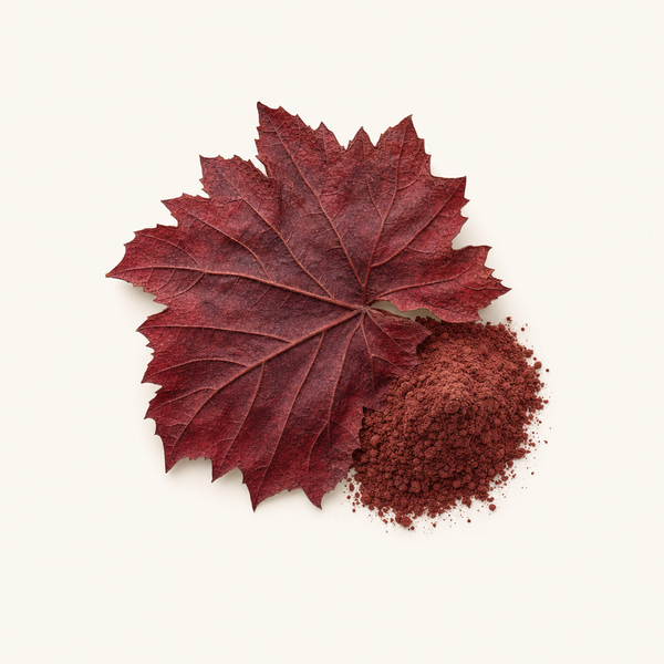 Estratto di foglia di vite rossa 3-5% BIO