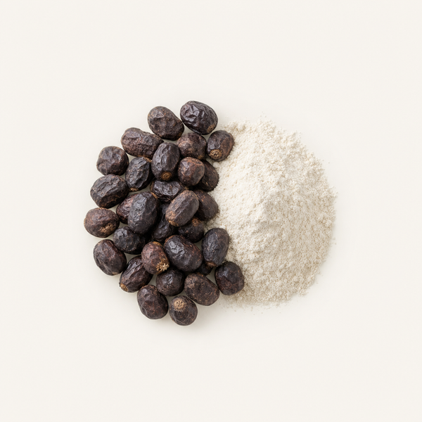 Extrait de fruit de palmier nain (Serenoa repens) (45 % d’acides gras)