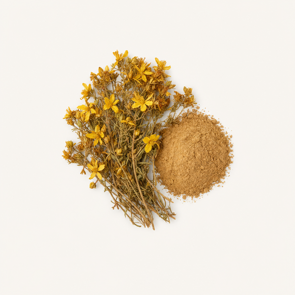 St. John's Wort Extract Organic 
