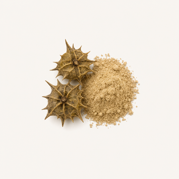 Extrait de fruit de Tribulus 90%